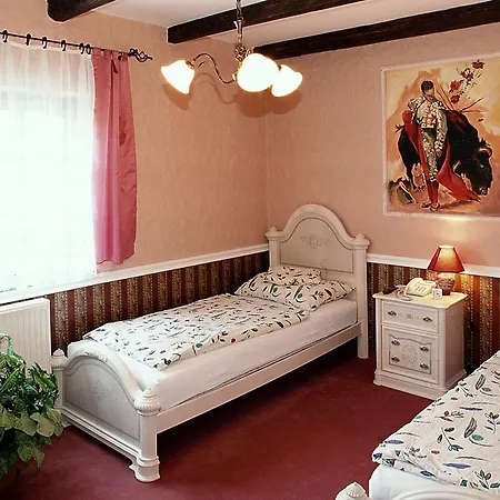 Oda ve Kahvaltı Tia Maria Panzio Yanıkkale